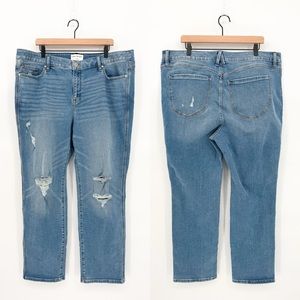 Lane Bryant Signature Fit Mid-Rise Straight Distressed Jeans Size 22